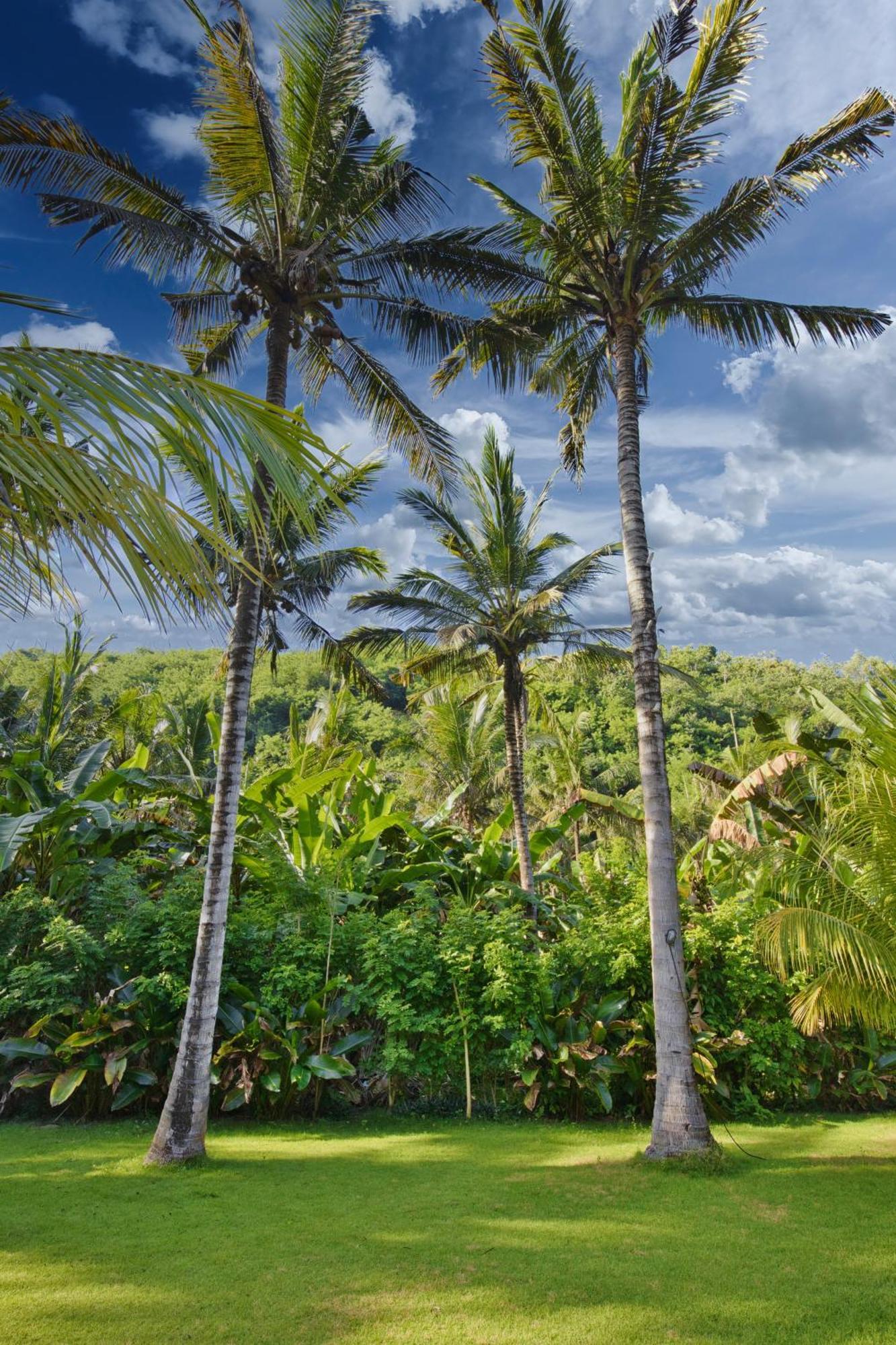 Апартаменты Puri Yalus Bungalow Toyapakeh Экстерьер фото